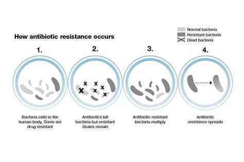Antimicrobial resistance (AMR): applying All Our Health - GOV.UK