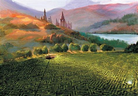 The Triwizard Task//Lost in the labyrinth. | Harry Potter Amino