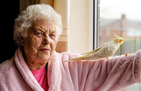 Fly-away cockatiel in £4K seven-hour rescue operation - Mirror Online