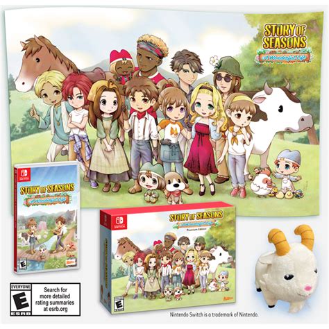 Nintendo Switch Story of Seasons A Wonderful Life Premium Edition (US) — GAMELINE