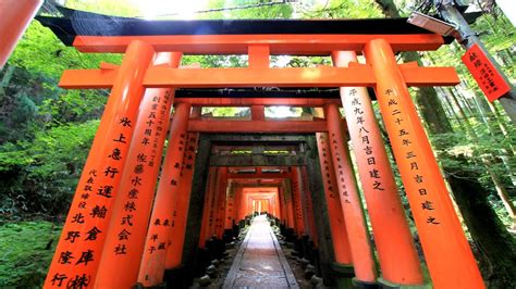 Torii Gates Japan