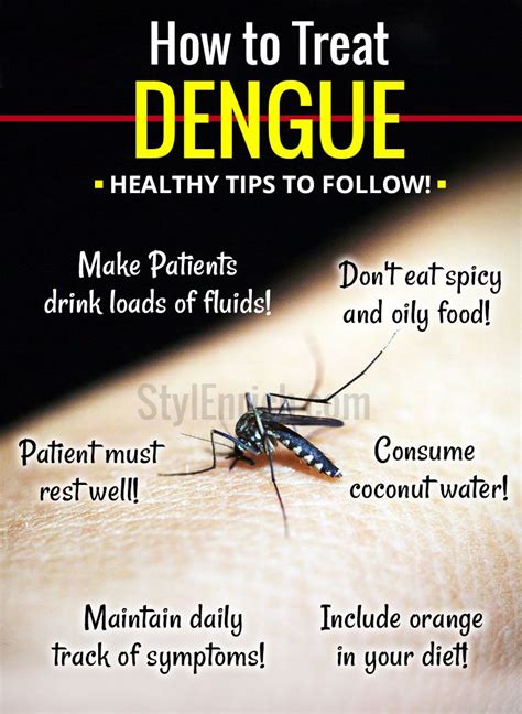 Dengue Treatment : Taking Care and Healthy Tips to Follow!