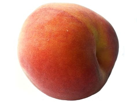 Isolated Peach Free Stock Photo - Public Domain Pictures