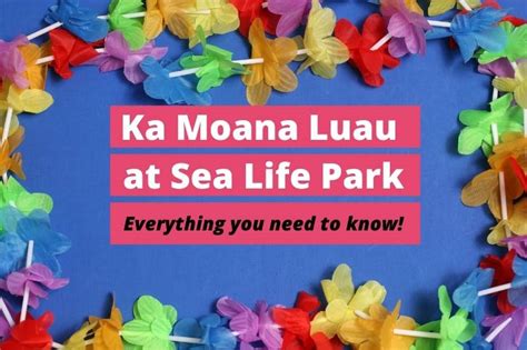 Ka Moana Luau at Sea Life Park: Everything you need to know