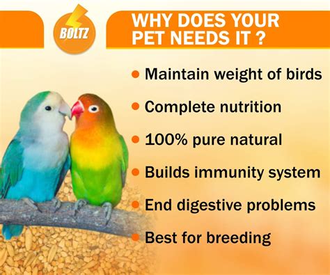 Boltz Bird Food for Budgies - Mix Seeds 1200 Gm - boltzpetcare