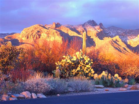 Tucson Mountain Sunset Wallpapers - 4k, HD Tucson Mountain Sunset Backgrounds on WallpaperBat