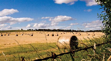 Lake Bathurst - Goulburn Australia