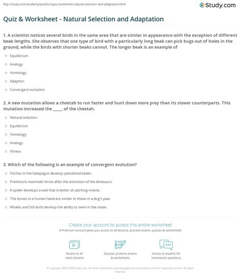 Quiz & Worksheet - Natural Selection and Adaptation | Study.com