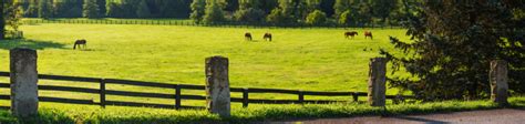 Gainesway Farm