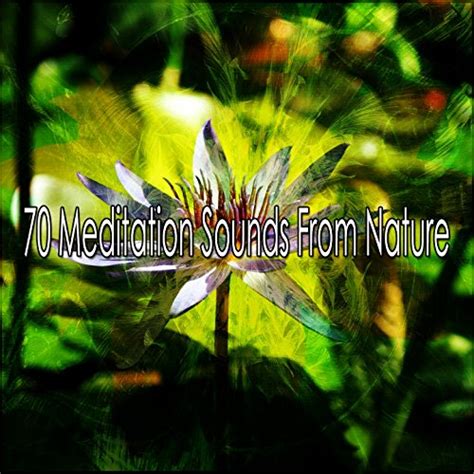 Amazon Music Unlimited - 瞑想 『70 Meditation Sounds From Nature』