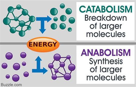 two different types of energy are shown in the diagram, one is hydrogen and the other is