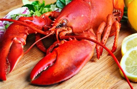 Langostas Frescas al Vapor | Recipe | Lobster buffet, Seafood, Seafood ...