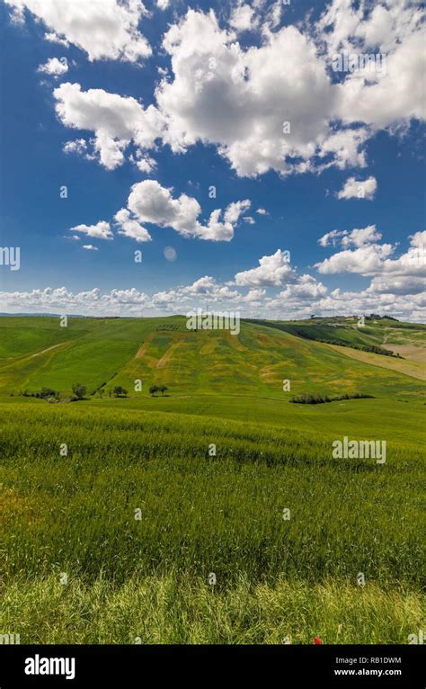 Beautiful panorama of the natural landscape of the Crete Senesi in ...