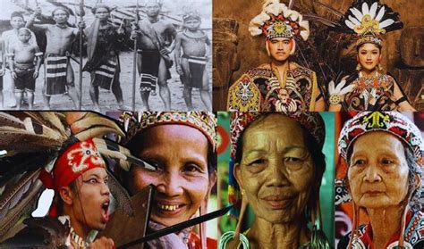 Mengenal Suku Dayak, Asal Usul Hingga Kepercayaan nya!