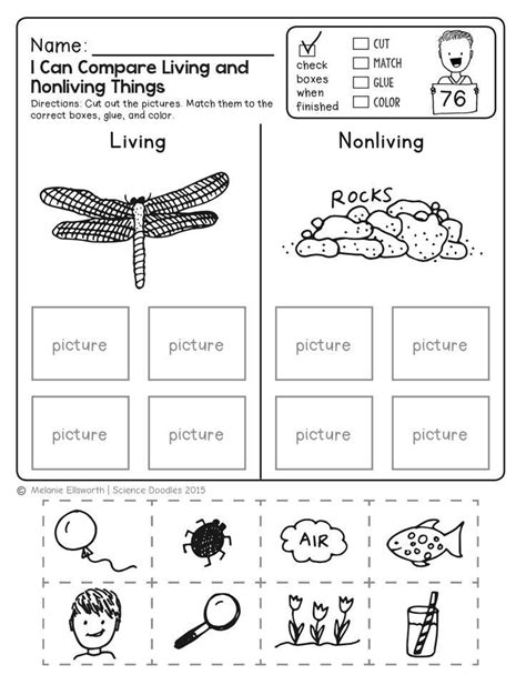 FREEBIE! NO-PREP Kindergarten Science Doodle Printables | Free science worksheets, Science ...