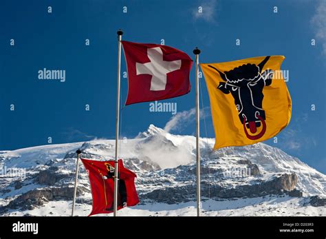 Swiss cantons flags hi-res stock photography and images - Alamy