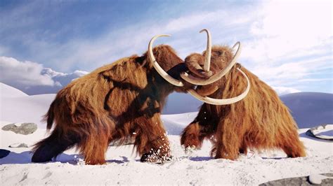 Pleistocene epoch: The last ice age | Live Science