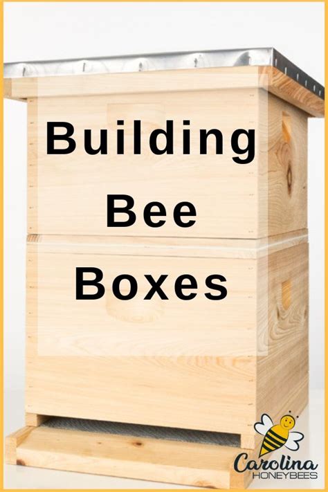 How to Build a Beehive of Your Own - Carolina Honeybees | เลี้ยงผึ้ง ...