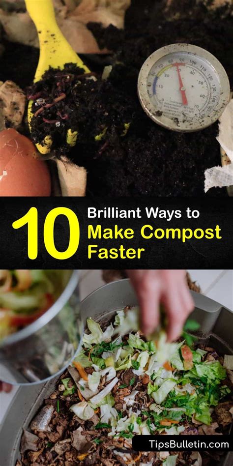 10 brilliant ways to make compost faster – Artofit