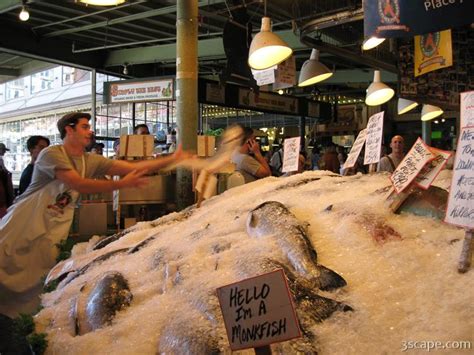 Fish throwing at Pike Place Fish Market Photograph by Adam Romanowicz