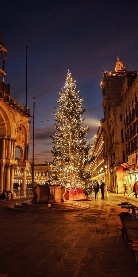 Venice Christmas Tree by Nikita G - Photo 133592493 / 500px | Christmas in italy, Christmas in ...