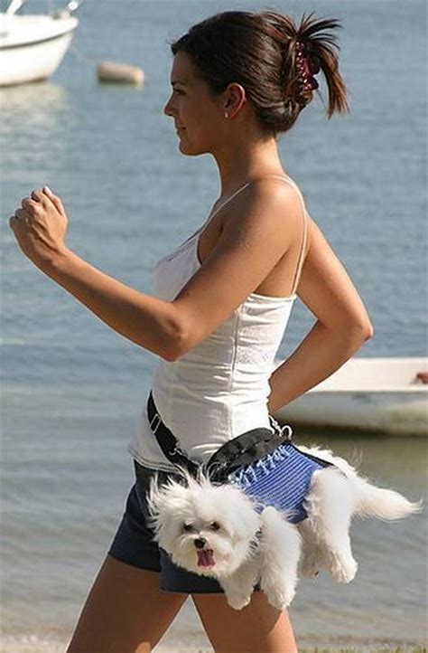 13 Hilarious Pictures of Walking The Dog | Dogs, Funny dogs, Dog walking