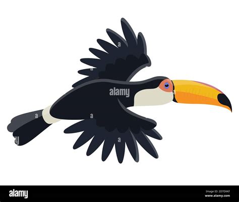 Flying tropical bird. Toucan in cartoon style isolated on white background Stock Vector Image ...