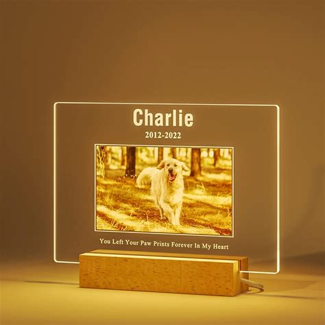 Amazon.com : Bemaystar Personalized Dog Memorial Gifts Custom Dog Memorial Night Lights for ...