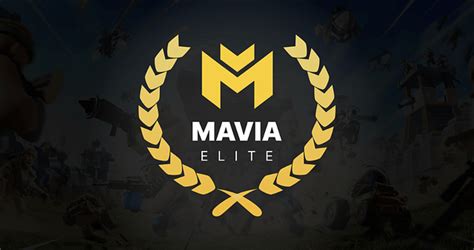 The Mavia Elite — A Competitive Ambassador Team Program | by Heroes of Mavia | Heroes of Mavia ...