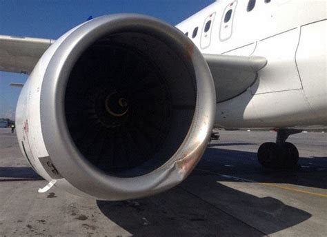 Incident: Astana A320 at St. Petersburg on Sep 7th 2014, bird strike