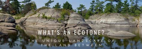 What’s an “Ecotone”?