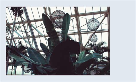 Franklin Park Conservatory 2017 on Behance