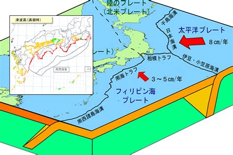 Japanese Tsunami 2025 Map - Karil Marlena