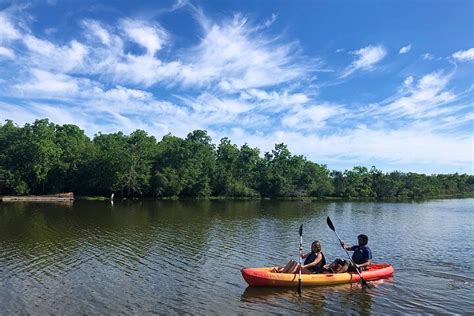 Self Guided Kayak Bayou Swamp Tour 2024 | Cool New Orleans