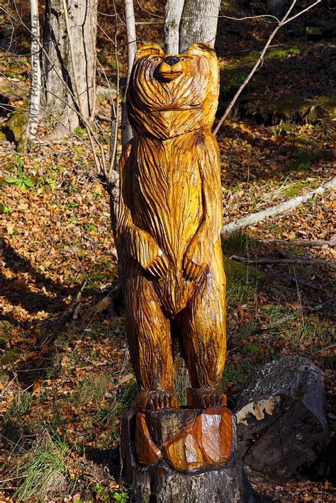 Bear Wood Carving From Tree Stump | Bear wood carving found … | Flickr