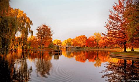 Autumn in Boston III by MyLifeThroughTheLens on DeviantArt