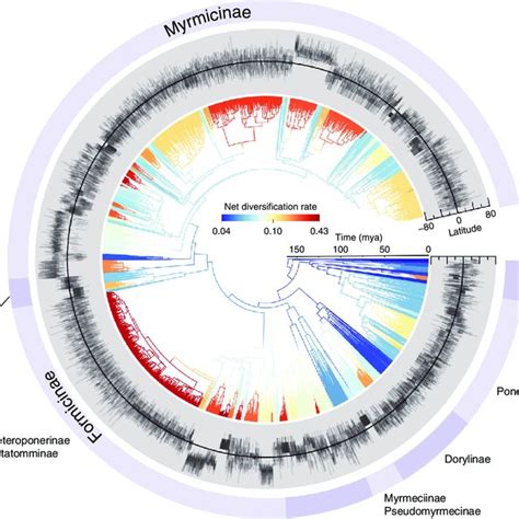 Global patterns of ant diversity and evolution. Species richness by a ...