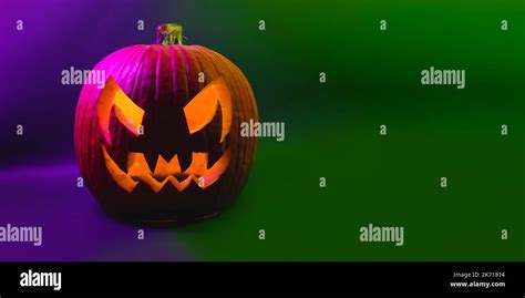 Real Halloween orange pumpkin violet and green background banner giving ...