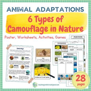 Animal Adaptations- 6 Types of Camouflage in Nature by Teaching with Tricia