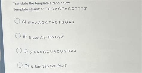 Solved Translate the template strand below.Template strand: | Chegg.com