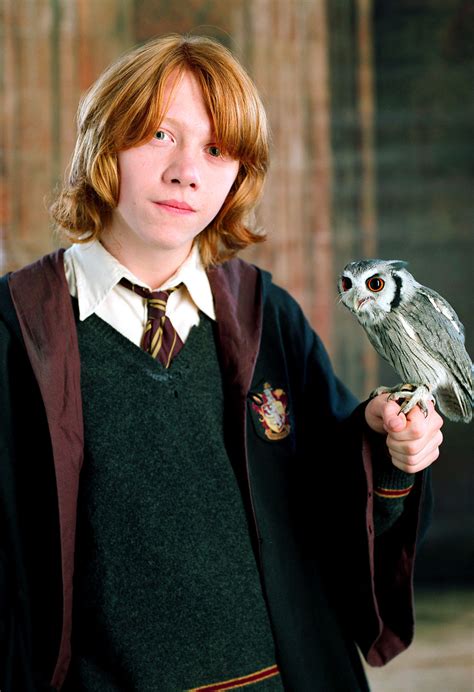 Portrait of Ron Weasley — Harry Potter Fan Zone