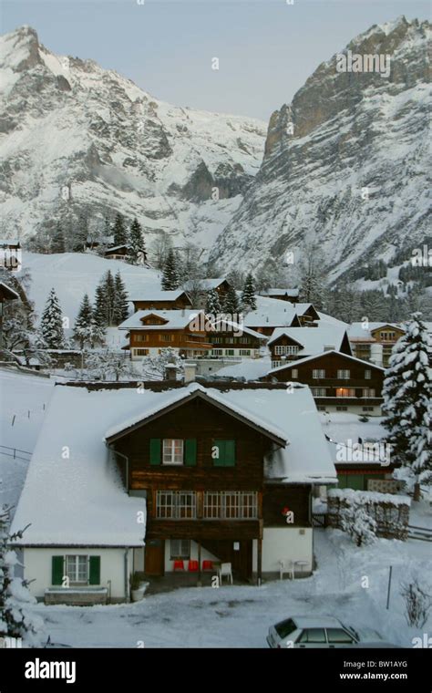 Swiss Alps ski resort Jungfrau region: Swiss chalets in the village Grindelwald covered in snow ...