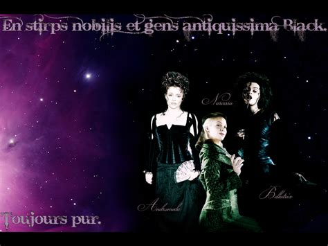 The Black Sisters - Harry Potter Wallpaper (27020302) - Fanpop