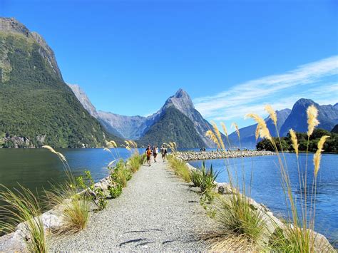 Milford Sound - The Most Unique Landscape in New Zealand