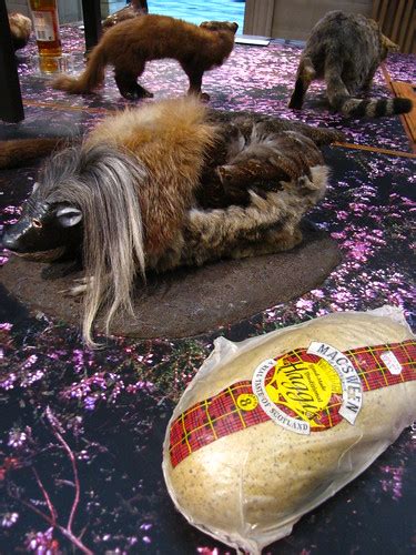 Haggis, the Mythical Beast | The Haggis, a mythical being wh… | Flickr