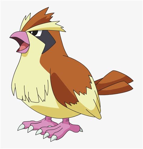 Pidgey - Pidgey Pokemon Transparent PNG - 712x776 - Free Download on ...