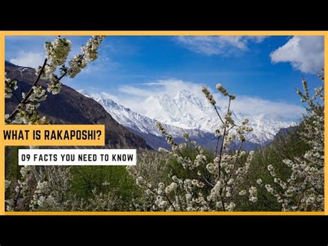 Rakaposhi: 9 Facts You Must Know About Pakistan's 12th Highest Mountain Peak at 7,788 m [4K] UHD ...