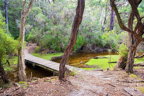 Refuge Cove Campsite Photograph by THP Creative - Fine Art America