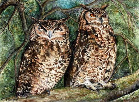 Artprint Titled 'two Owls', Owl Watercolour Painting, Eagle Owl Wallart ...