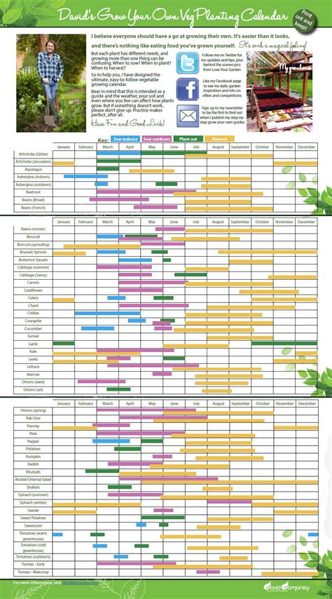 Grow your own veg with my planting calendar David Domoney | Vegetable planting guide, Planting ...